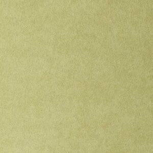 ROYAL-SUEDE_CITRIC.jpg